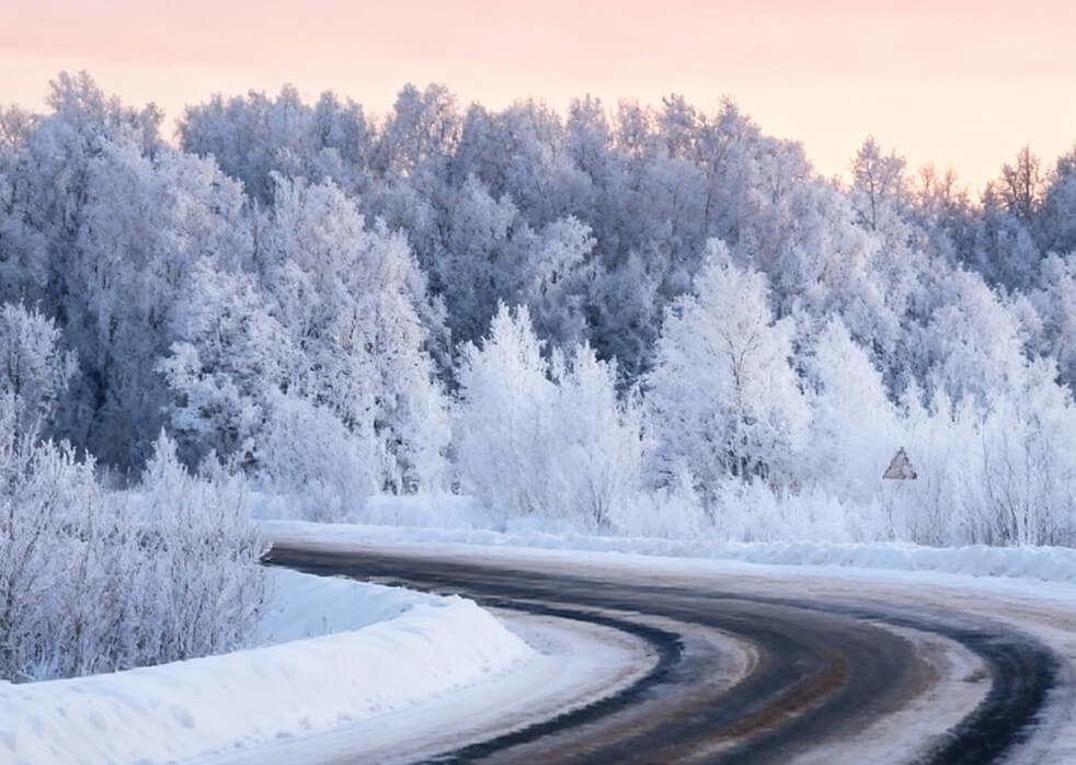 Расписание автобуса на Новый год